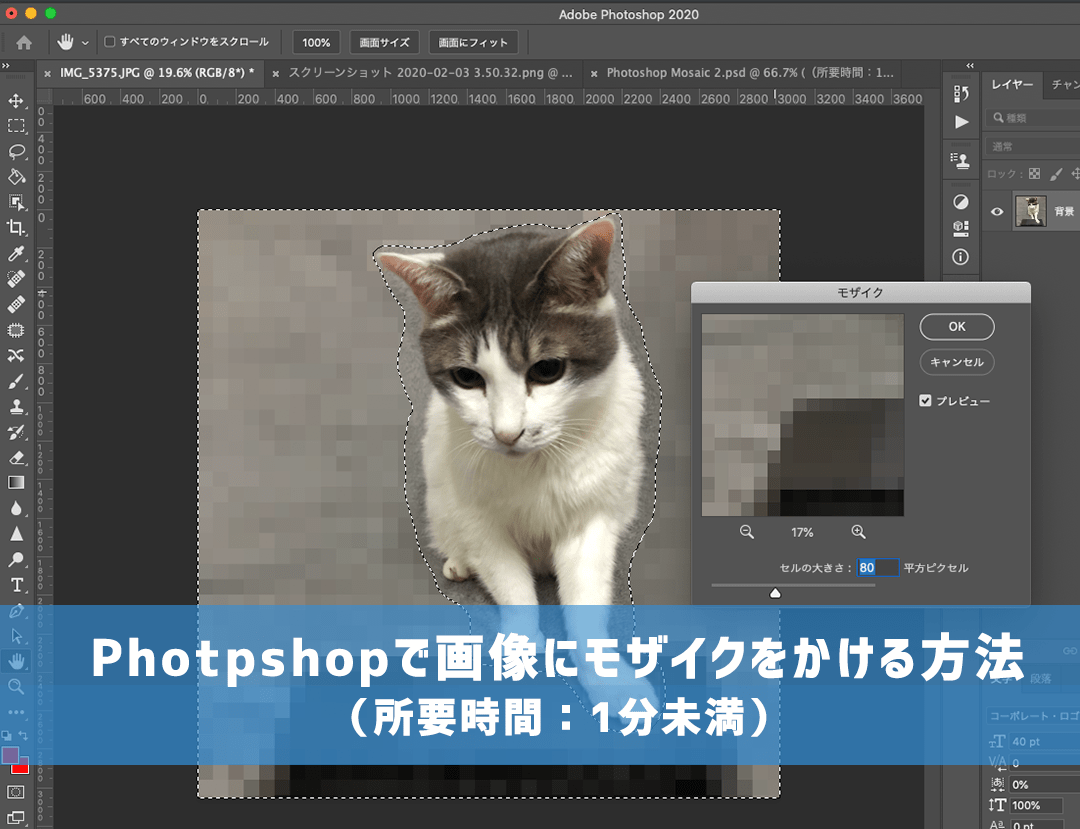 Photpshopで画像にモザイクをかける方法
